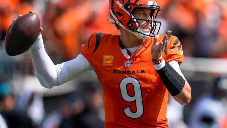 cincinnati bengals