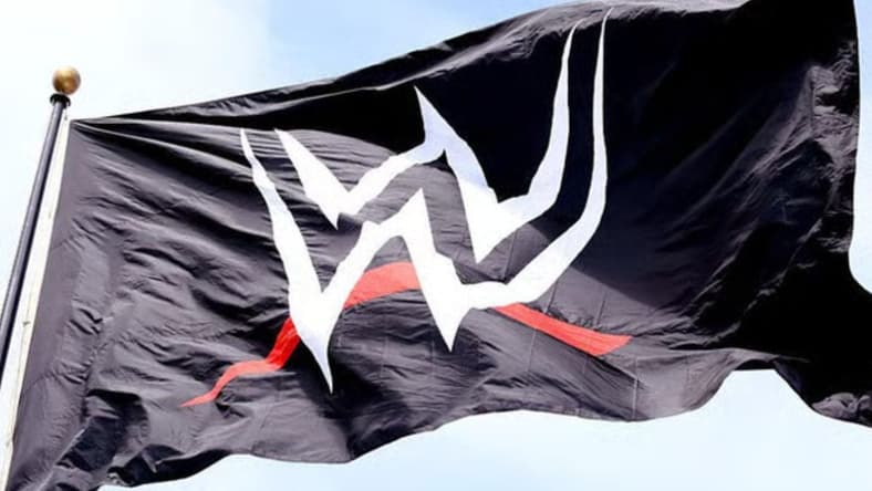 is wwe fake wwe