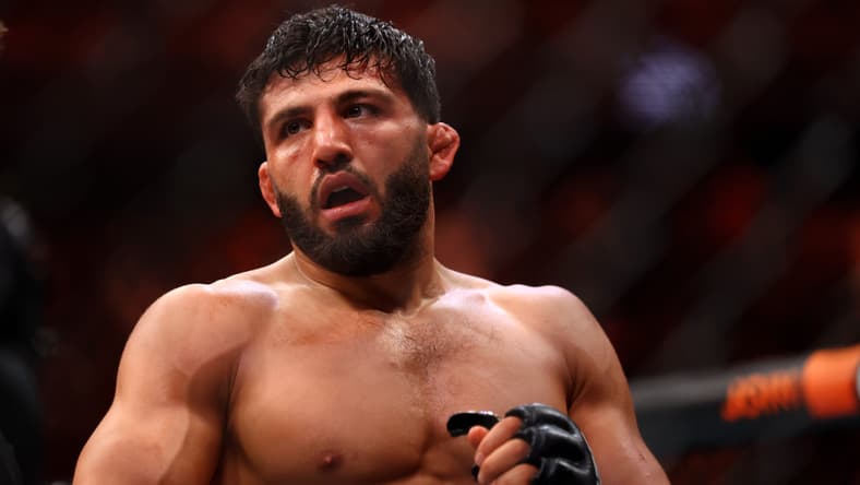 ufc qatar