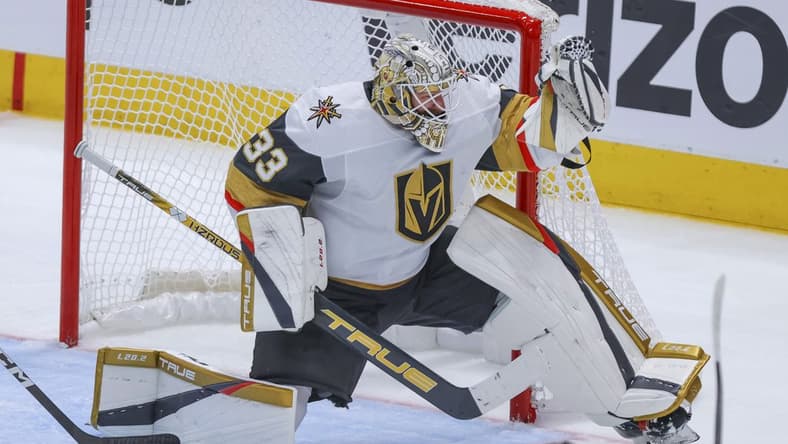 Vegas Golden Knights Goalie, Adin Hill