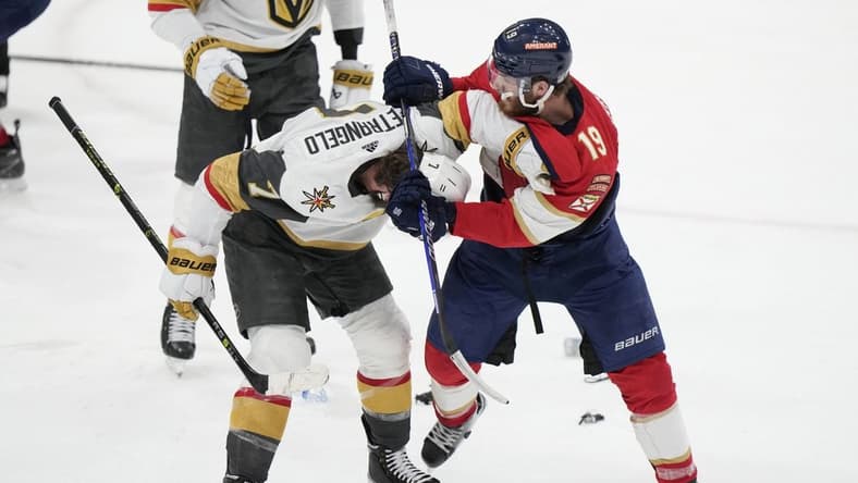 Stanley Cup Golden Knights Panthers