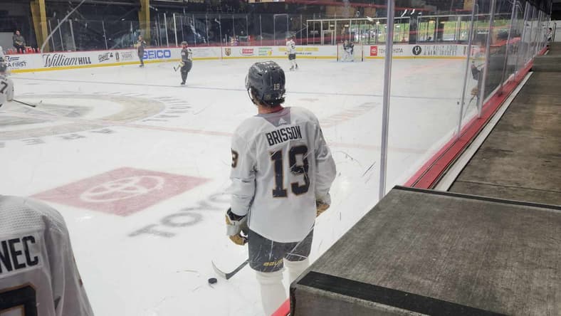 Brendan Brisson, Vegas Golden Knights