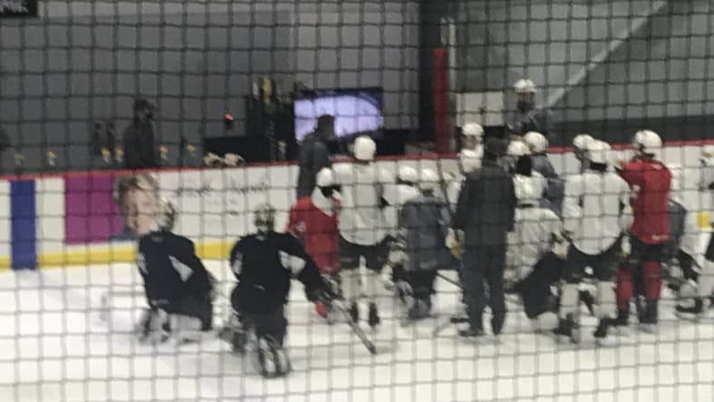 Henderson Silver Knights training camp
