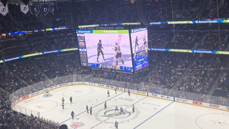 Vegas Golden Knights forward Keegan Kolesar fights Tampa Bay Lightning defenseman Emil Lilleberg 10/26/2025
