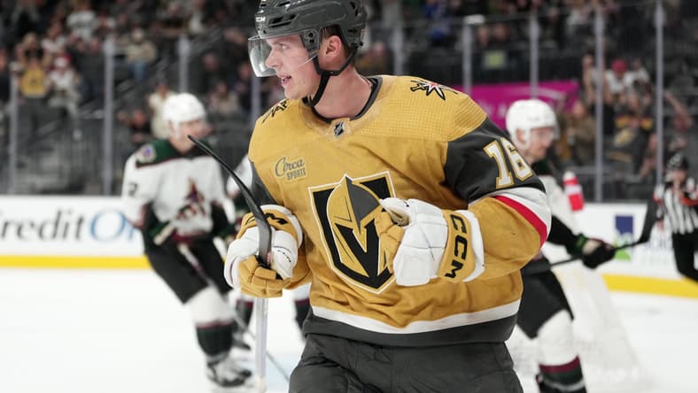 Pavel Dorofeyev, Vegas Golden Knights, Golden Knights lines