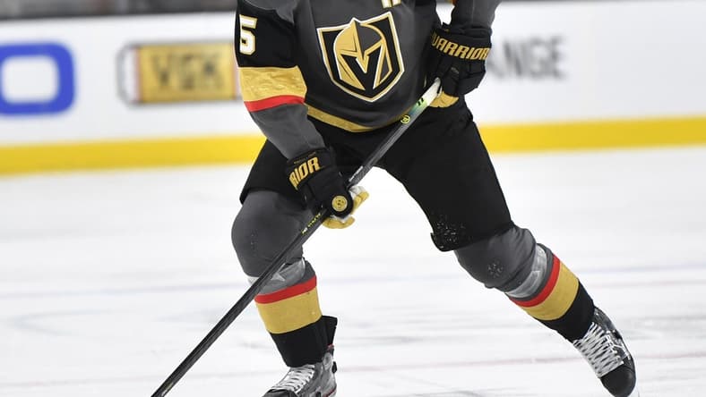 Deryk Engelland Vegas Golden Knights 2022 NHL All-Star Game (Photo- Vegas Golden Knights via Twitter)