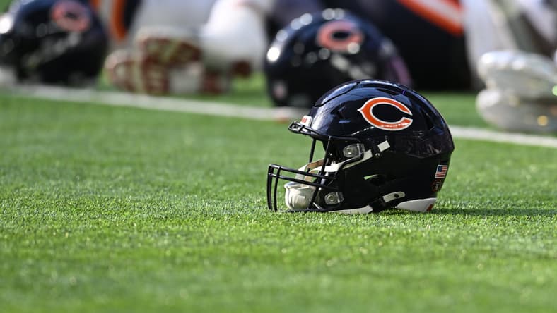 bears