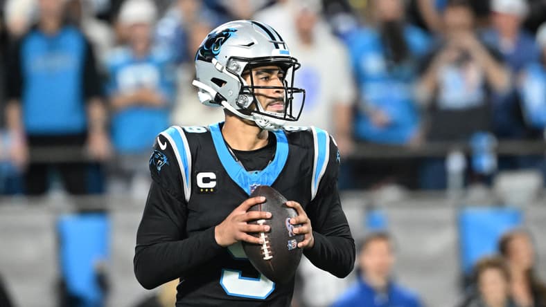 panthers