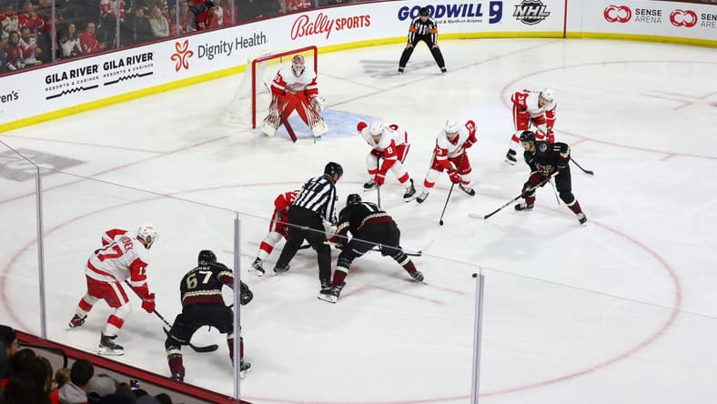 NHL: Detroit Red Wings at Arizona Coyotes
