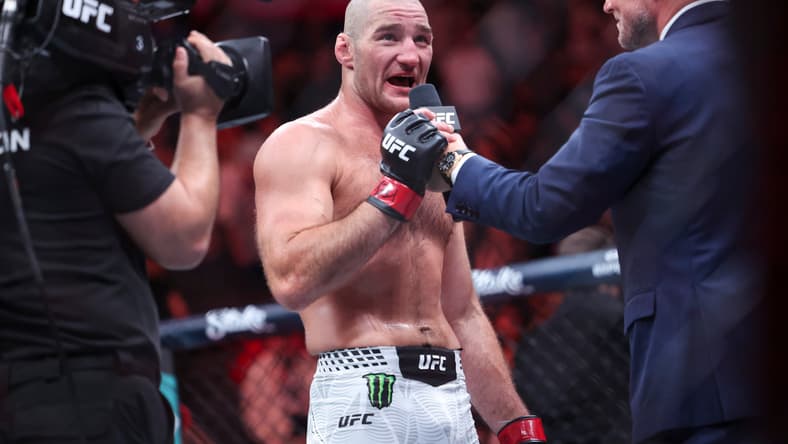 ufc middleweight rankings