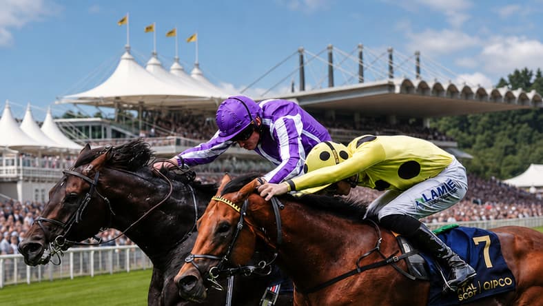 Bow Echo - Gstaad - Sussex Stakes Goodwood