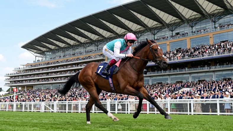 Frankel Racehorse