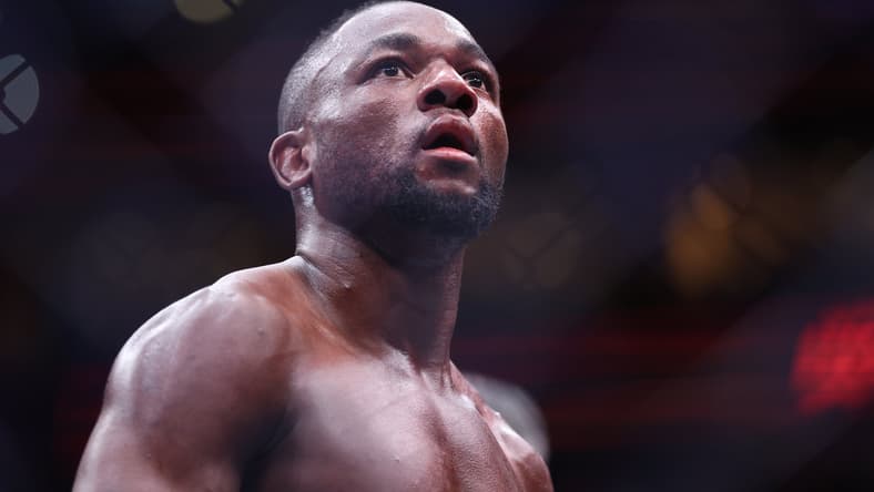 ufc flyweight rankings