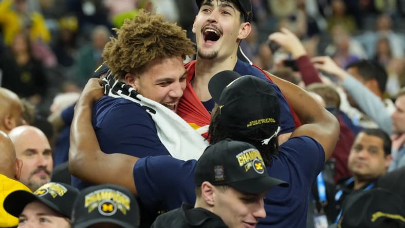 hawks