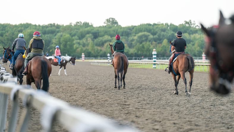 Riders take their horses out for training at Parx's Racetrack in Bensalem on Sept. 22, 2025.