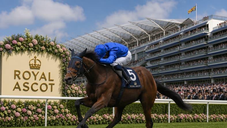Trawlerman Ascot Gold Cup 2026