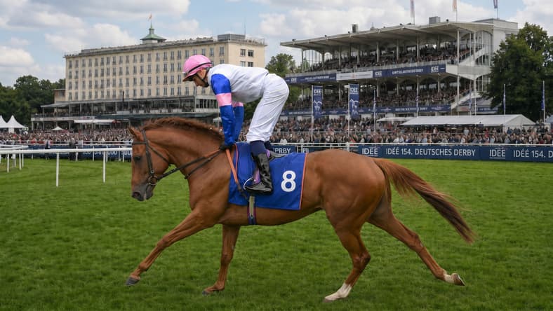 German Derby Runners Guide 2026