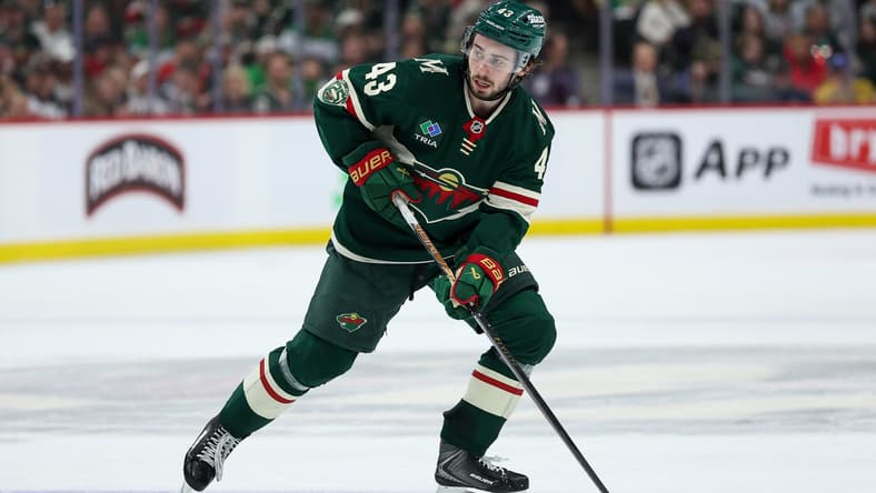 Quinn Hughes, Minnesota Wild
