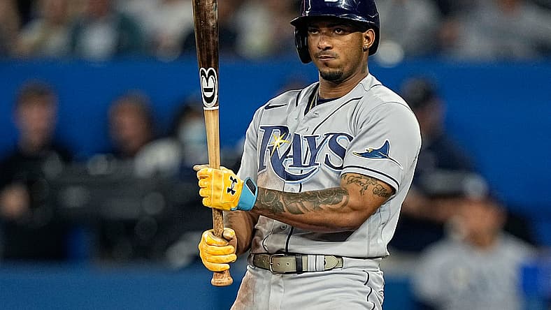 tampa bay rays, wander franco