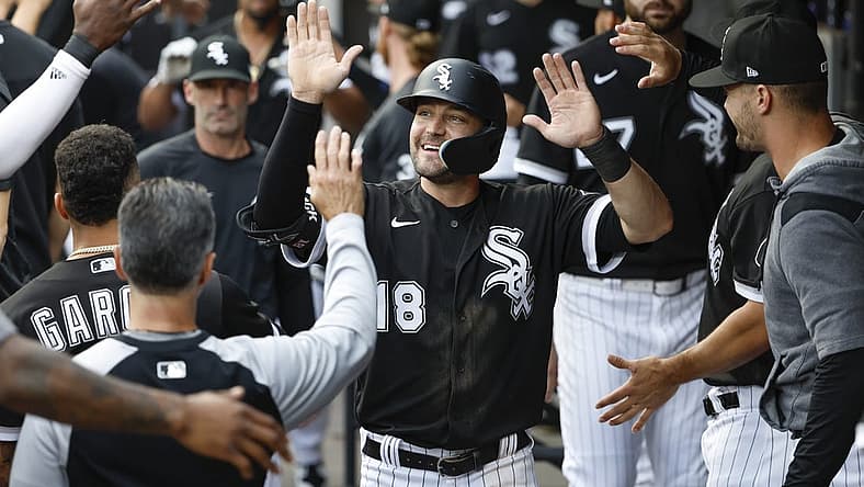 Aug 13, 2022; Chicago, Illinois, USA; Chicago White Sox left fielder AJ Pollock (18) celebrates with teammates after scoring against the Detroit Tigers during the first inning at Guaranteed Rate Field. Mandatory Credit: Kamil Krzaczynski-USA TODAY Sports