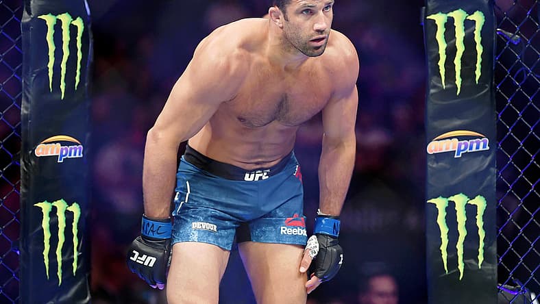 ufc 278, ufc