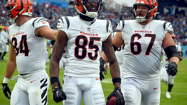 nfl wide receiver rankings: tee higgins