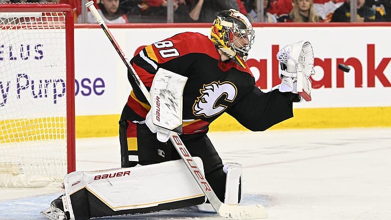 Fantasy hockey
