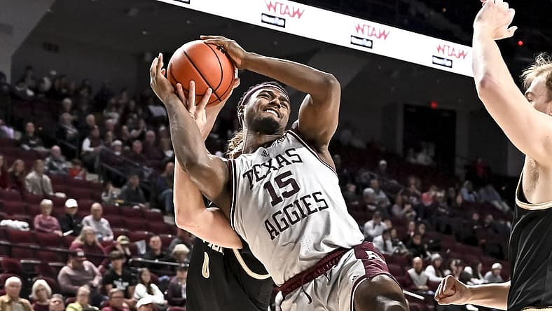 Dec 20, 2022; College Station, Texas, USA; Texas A&M Aggies forward Henry Coleman III (15) is fouled by Wofford Terriers guard Jackson Sivills (0) during the second half at Reed Arena. Mandatory Credit: Maria Lysaker-USA TODAY Sports