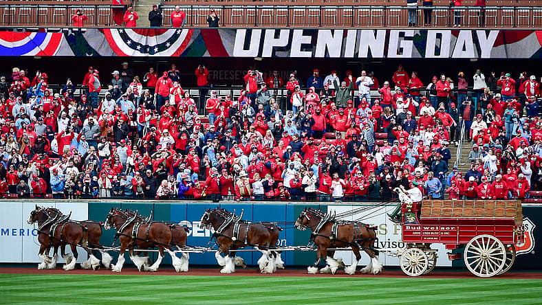 st. louis cardinals