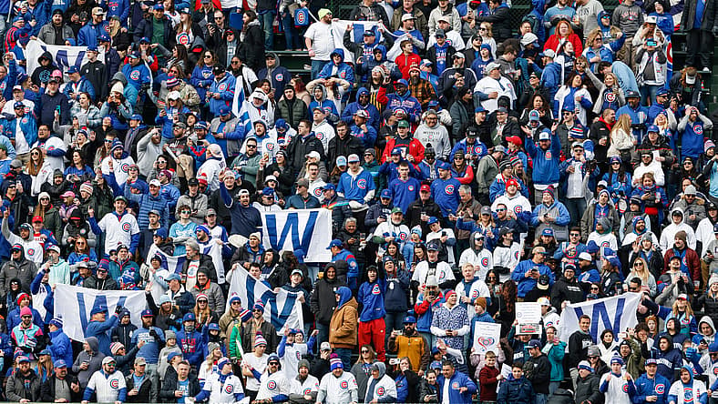 chicago cubs