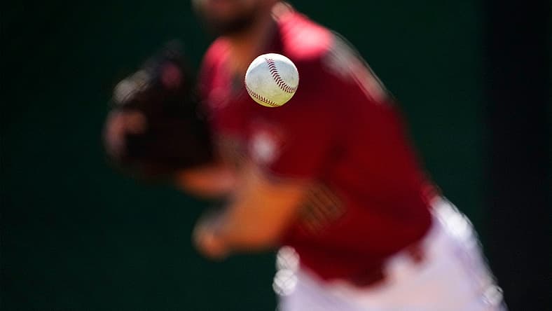 arizona diamondbacks