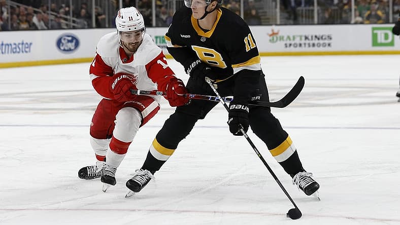 Mar 11, 2023; Boston, Massachusetts, USA; Detroit Red Wings right wing Filip Zadina (11) tries to slow down Boston Bruins center Trent Frederic (11) during the first period at TD Garden. Mandatory Credit: Winslow Townson-USA TODAY Sports