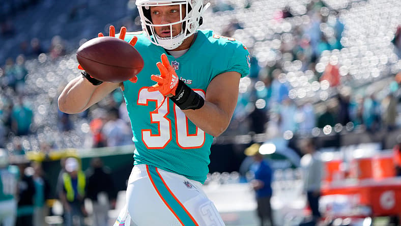 miami dolphins