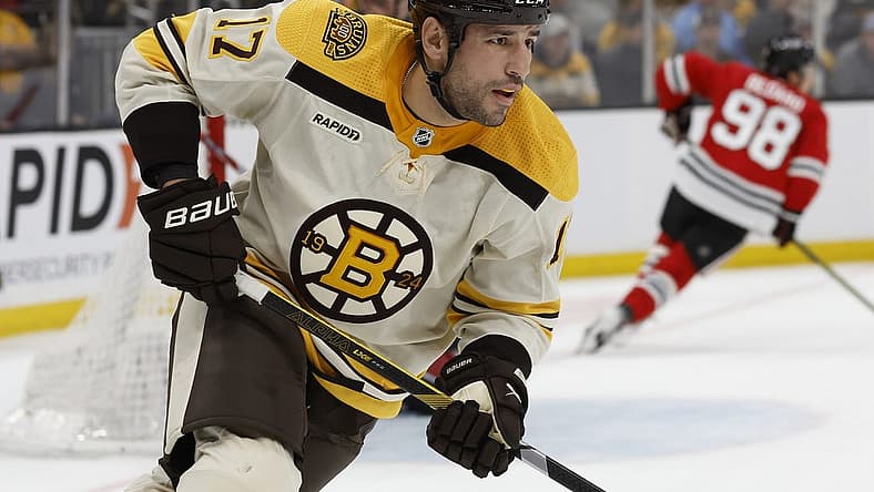 Oct 11, 2023; Boston, Massachusetts, USA; Boston Bruins left wing Milan Lucic (17) during the second period against the Chicago Blackhawks at TD Garden. Mandatory Credit: Winslow Townson-USA TODAY Sports