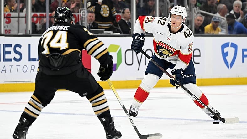 Oct 30, 2023; Boston, Massachusetts, USA; Florida Panthers defenseman Gustav Forsling (42) skates against Boston Bruins left wing Jake DeBrusk (74) during the second period at the TD Garden. Mandatory Credit: Brian Fluharty-USA TODAY Sports