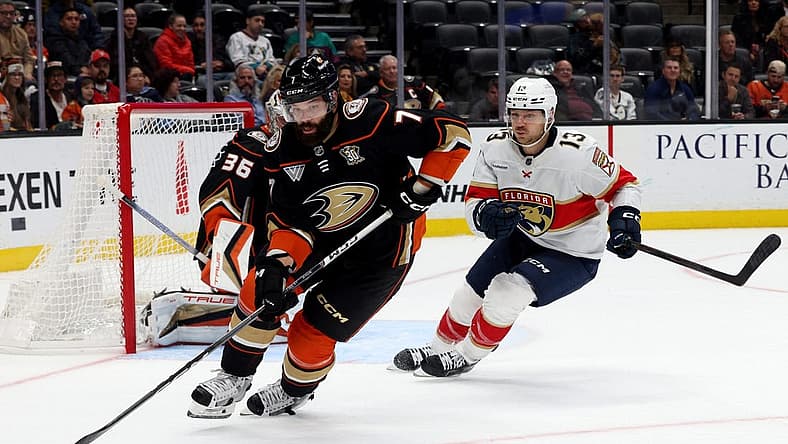Nov 17, 2023; Anaheim, California, USA; Anaheim Ducks defenseman Radko Gudas (7) skates against Florida Panthers center Sam Reinhart (13) during the third period at Honda Center. Mandatory Credit: Jason Parkhurst-USA TODAY Sports
