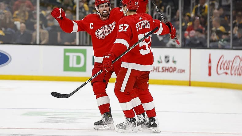 Nov 24, 2023; Boston, Massachusetts, USA; Detroit Red Wings center Dylan Larkin (71) celebrates with left wing David Perron (57) after Peron s goal against the Boston Bruins during the third period at TD Garden. Mandatory Credit: Winslow Townson-USA TODAY Sports