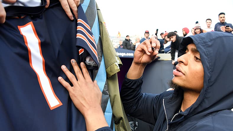 chicago bears