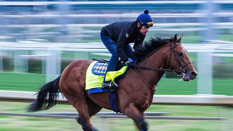 kentucky derby