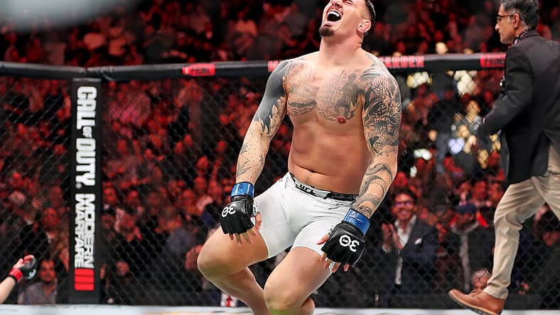 ufc 321