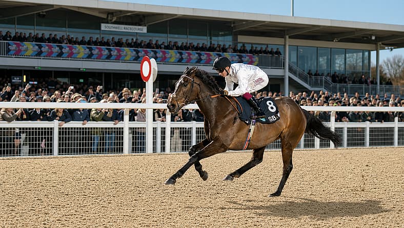 Constitution Hill Next Race