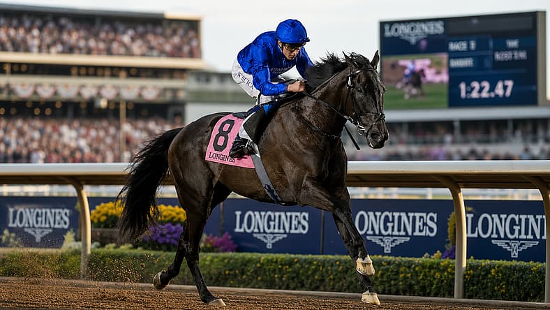 Rebel's Romance Retires
