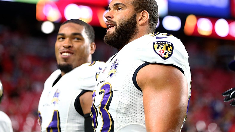 Oct 26, 2015; Glendale, AZ, USA; Baltimore Ravens defensive end Lawrence Guy (93) against the Arizona Cardinals at University of Phoenix Stadium. The Cardinals defeated the Ravens 26-18. Mandatory Credit: Mark J. Rebilas-USA TODAY Sports