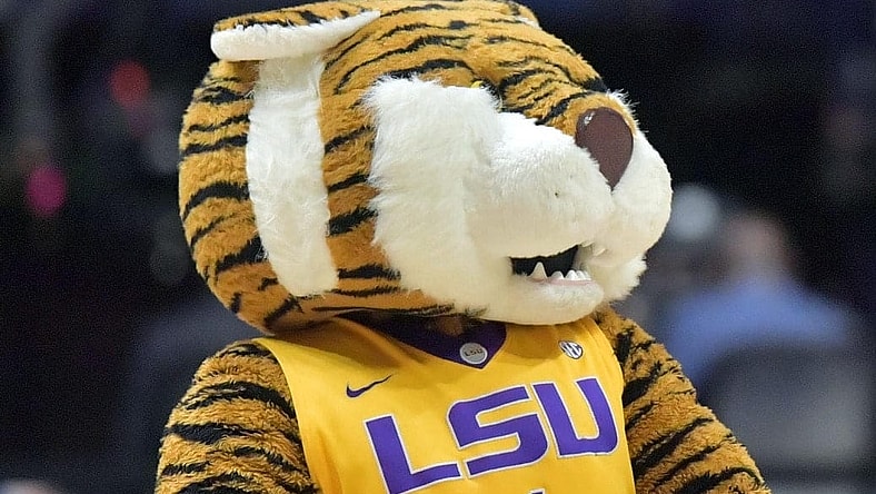 There's a petition going around to change the "racist" LSU Tigers mascot. Really.