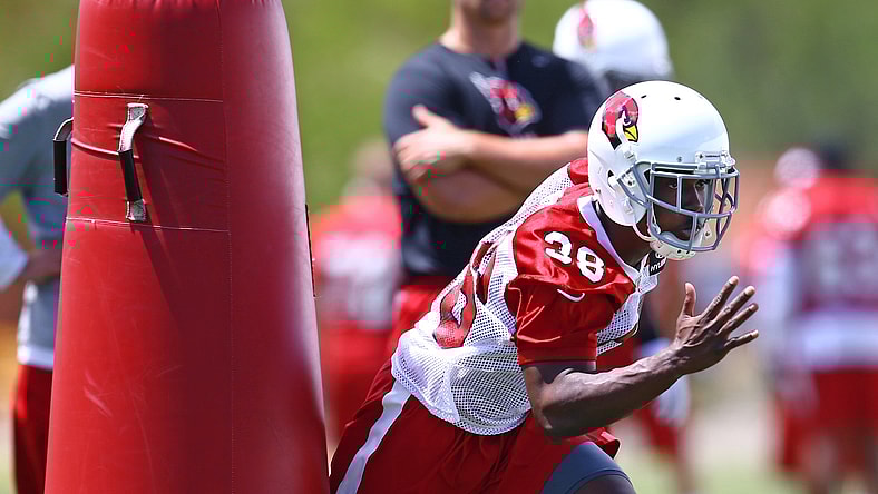 Ronald Zamort Arizona Cardinals