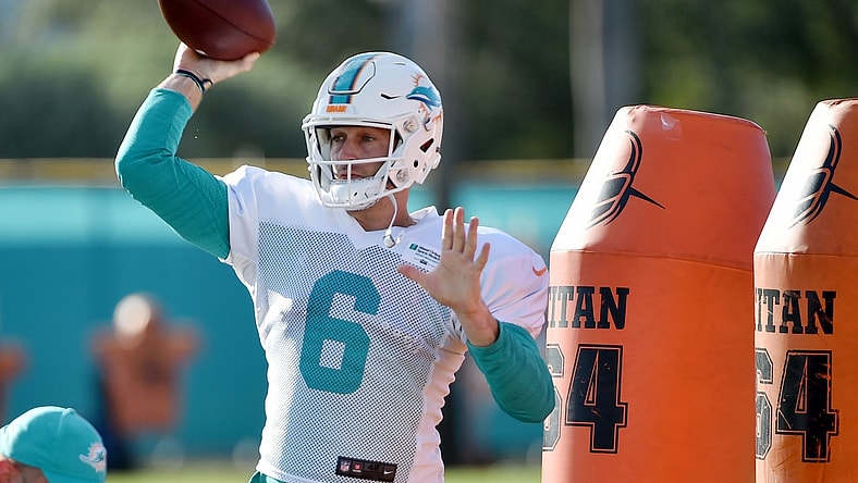 Miami Dolphins Jay Cutler NFL