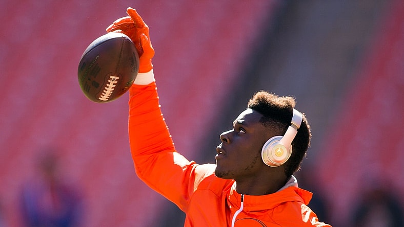 Cleveland Browns tight end David Njoku