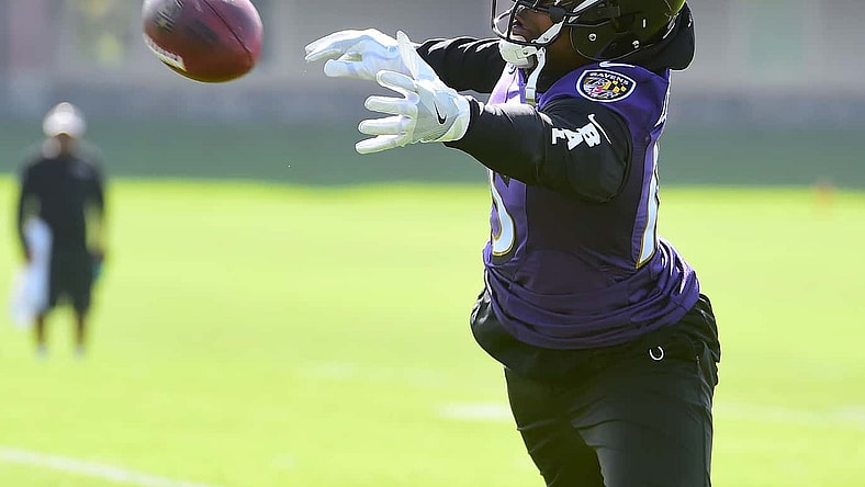 Ravens receiver Michael Crabtree