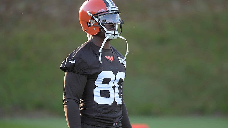 Browns receiver Ricardo Louis