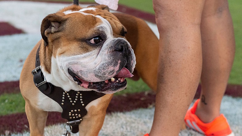 Bully hit on sideline
